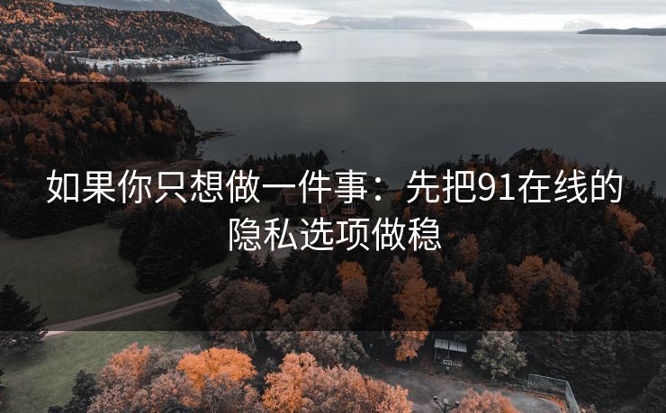 如果你只想做一件事:先把91在线的隐私选项做稳 如果你只想做一件事:先把91在线的隐私选项做稳