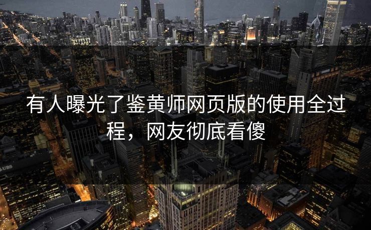 有人曝光了鉴黄师网页版的使用全过程，网友彻底看傻