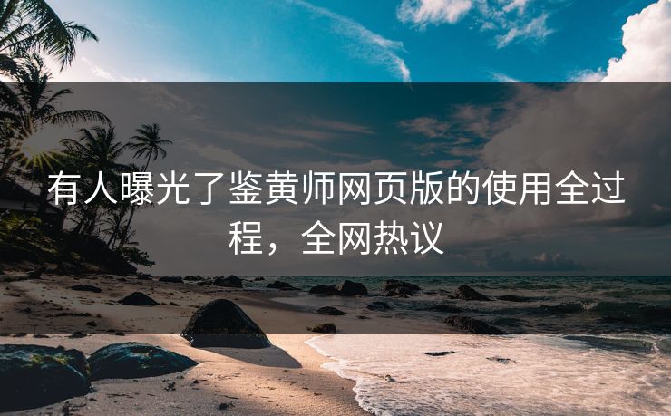 有人曝光了鉴黄师网页版的使用全过程，全网热议