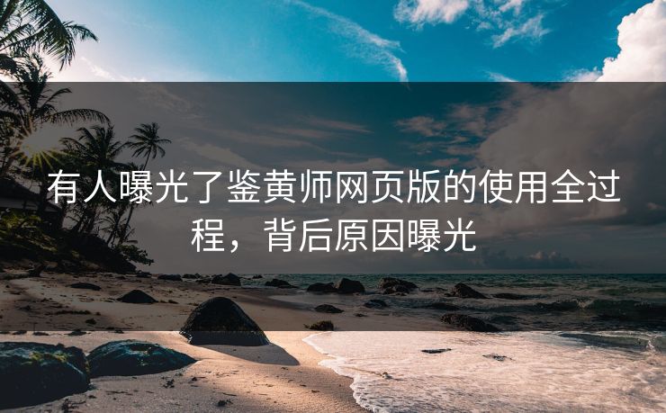 有人曝光了鉴黄师网页版的使用全过程，背后原因曝光