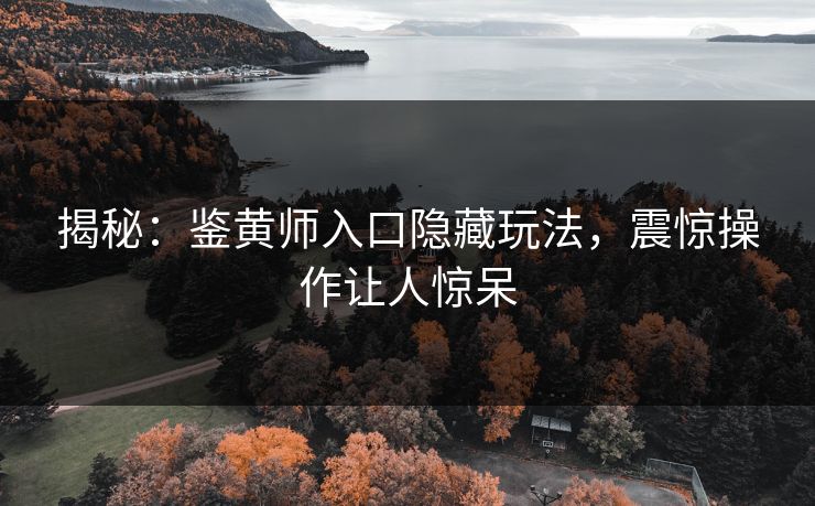 揭秘：鉴黄师入口隐藏玩法，震惊操作让人惊呆