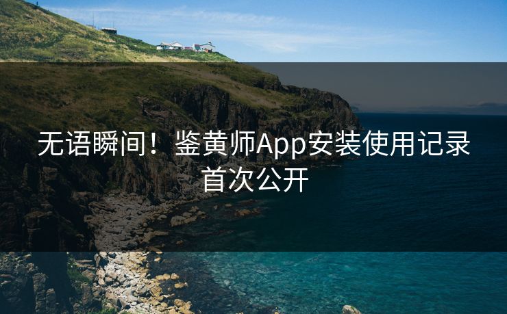无语瞬间！鉴黄师App安装使用记录首次公开