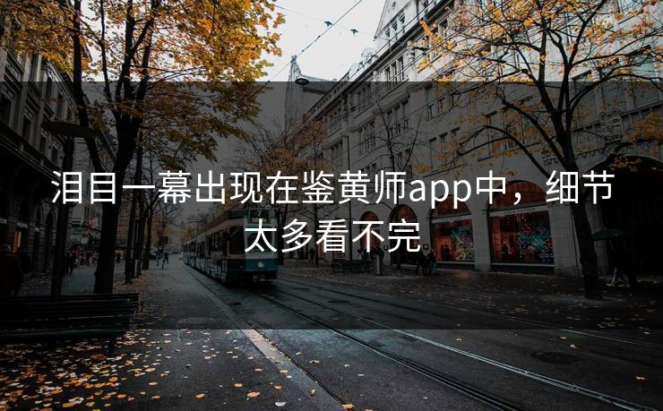 泪目一幕出现在鉴黄师app中，细节太多看不完