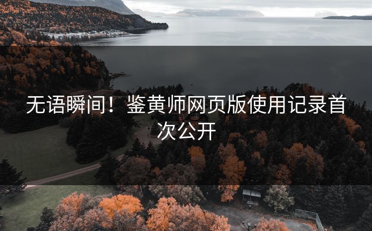 无语瞬间！鉴黄师网页版使用记录首次公开