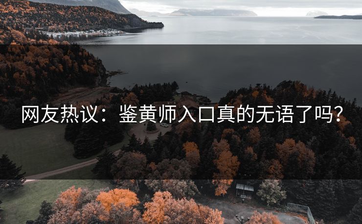 网友热议：鉴黄师入口真的无语了吗？