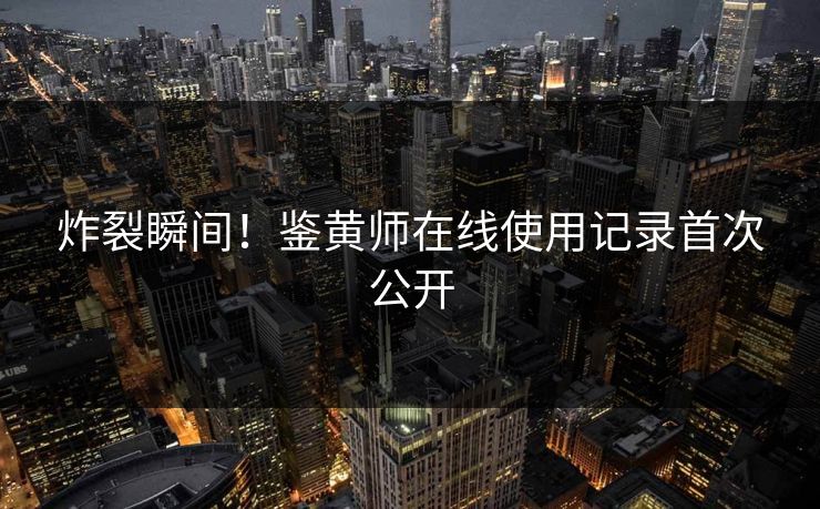 炸裂瞬间！鉴黄师在线使用记录首次公开