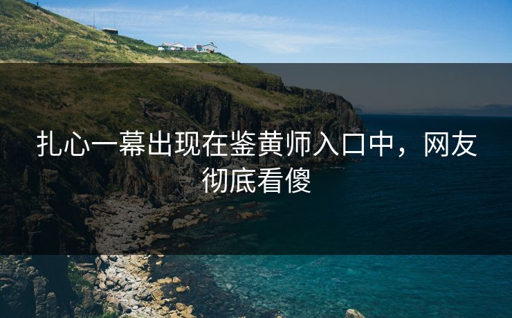 扎心一幕出现在鉴黄师入口中，网友彻底看傻
