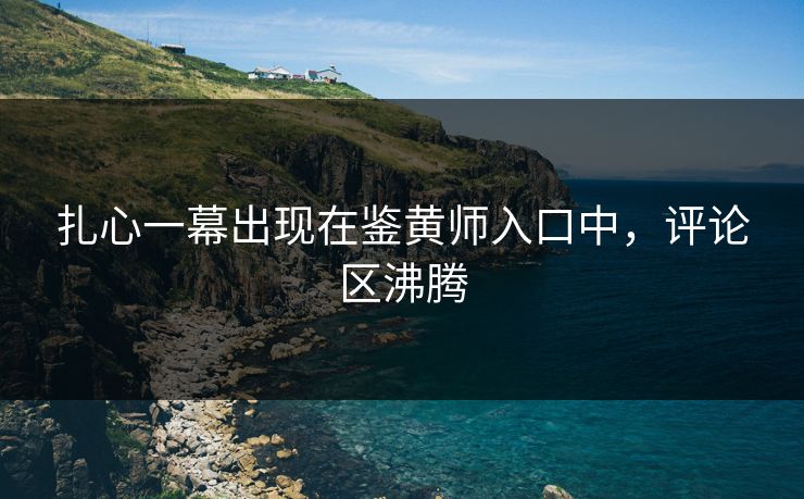 扎心一幕出现在鉴黄师入口中，评论区沸腾