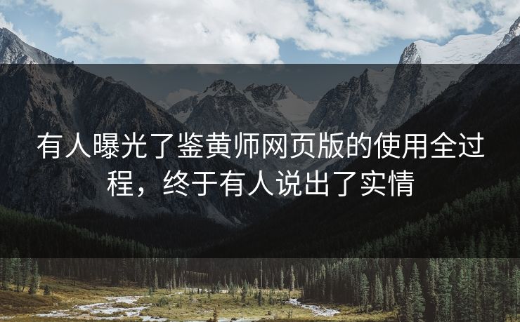 有人曝光了鉴黄师网页版的使用全过程，终于有人说出了实情