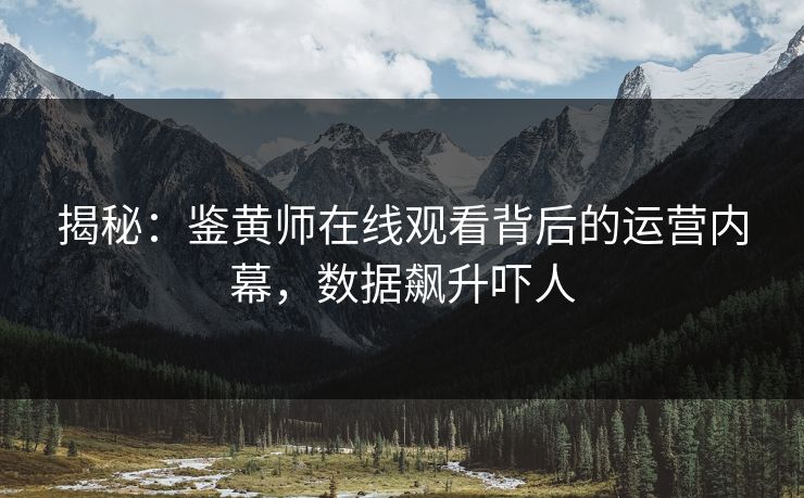 揭秘：鉴黄师在线观看背后的运营内幕，数据飙升吓人