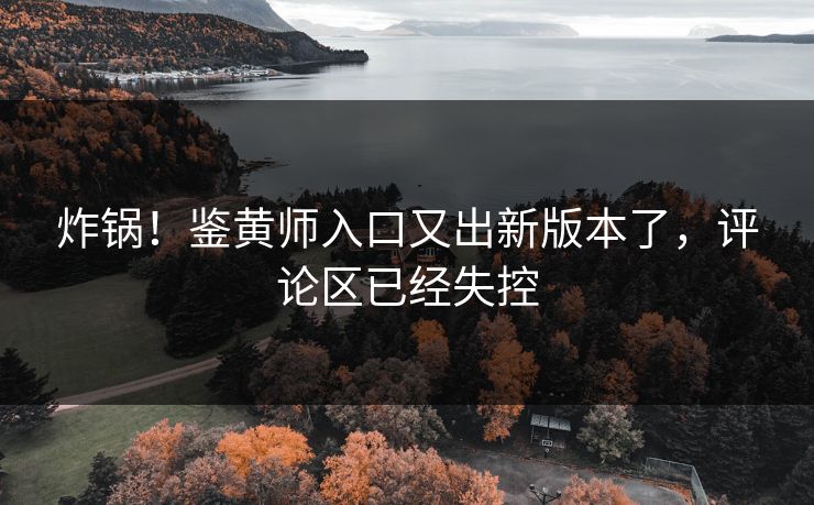 炸锅！鉴黄师入口又出新版本了，评论区已经失控