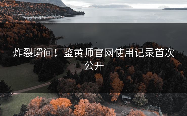 炸裂瞬间！鉴黄师官网使用记录首次公开