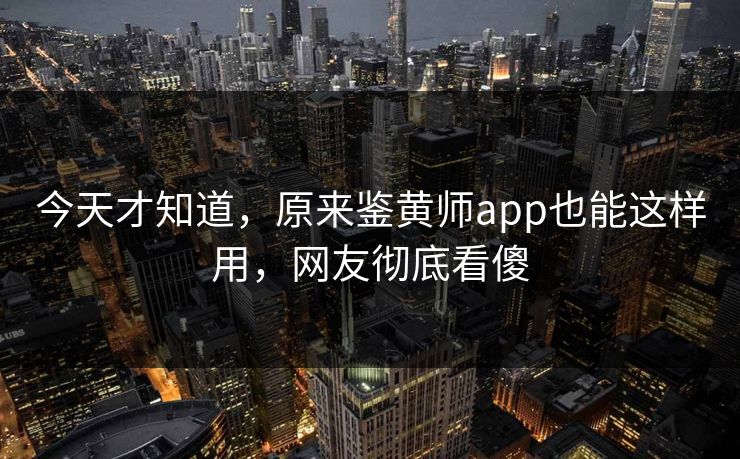 今天才知道，原来鉴黄师app也能这样用，网友彻底看傻