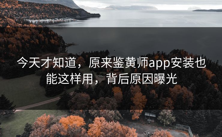 今天才知道，原来鉴黄师app安装也能这样用，背后原因曝光