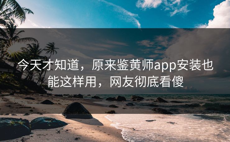 今天才知道，原来鉴黄师app安装也能这样用，网友彻底看傻