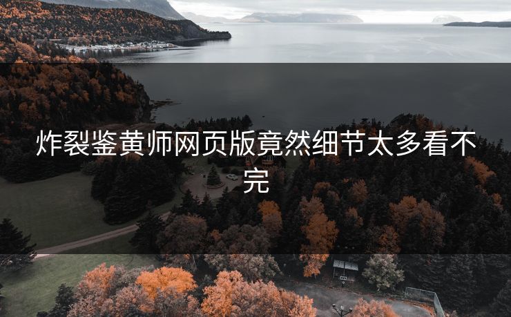 炸裂鉴黄师网页版竟然细节太多看不完