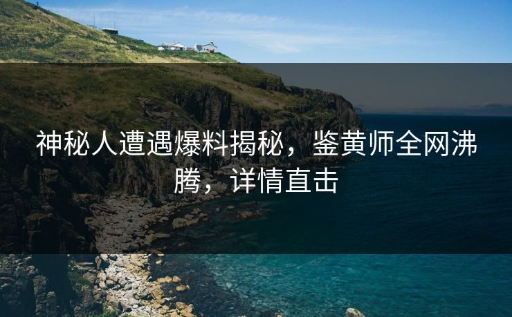 神秘人遭遇爆料揭秘，鉴黄师全网沸腾，详情直击