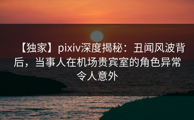 【独家】pixiv深度揭秘：丑闻风波背后，当事人在机场贵宾室的角色异常令人意外