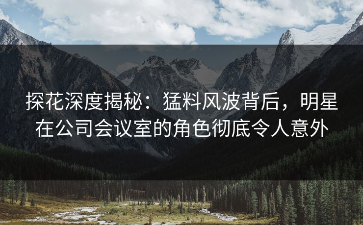 探花深度揭秘：猛料风波背后，明星在公司会议室的角色彻底令人意外