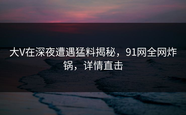 大V在深夜遭遇猛料揭秘，91网全网炸锅，详情直击