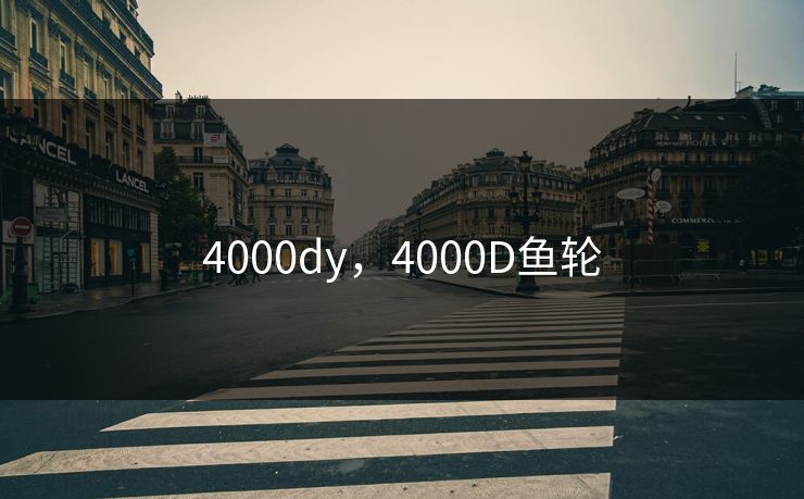 4000dy，4000D鱼轮