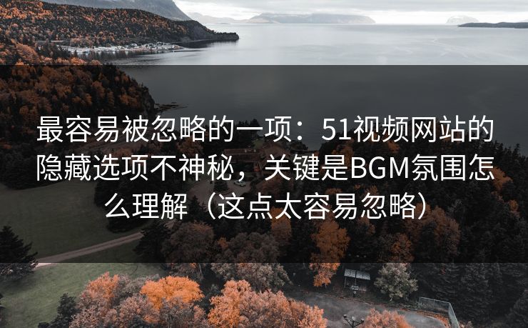最容易被忽略的一项：51视频网站的隐藏选项不神秘，关键是BGM氛围怎么理解（这点太容易忽略）